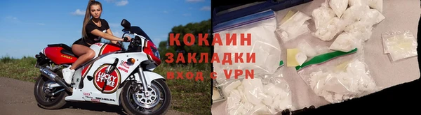 стафф Алзамай