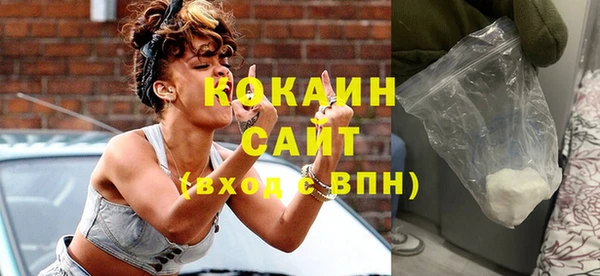 кокс Алексин