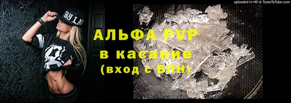 стафф Алзамай