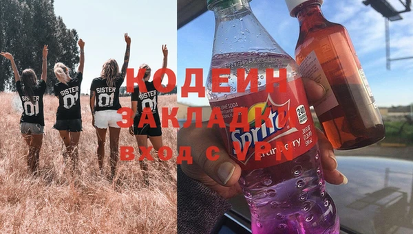 кокс Алексин