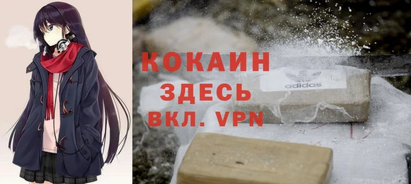 кокс Алексин