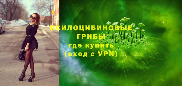 стафф Алзамай
