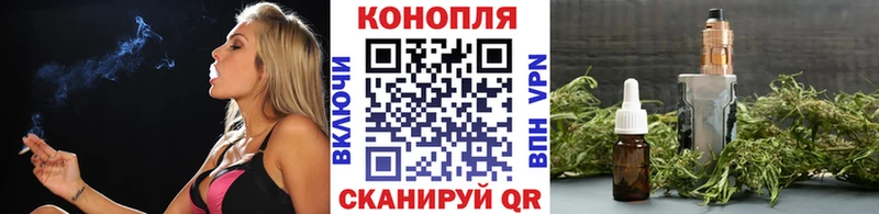 МАРИХУАНА сатива  Починок 